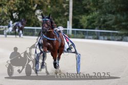 Dateiname=20251012_r08a_121_R05_0626.jpg
Dateigröße=228KB
Abmessungen: 1000x667
hinzugefügt am: 14. Oktober 2025 20251012_r08a_121_R05_0626.jpg