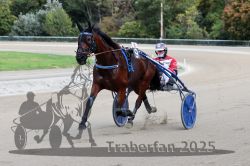 Dateiname=20251012_r08a_126_R05_0648.jpg
Dateigröße=276KB
Abmessungen: 1000x667
hinzugefügt am: 14. Oktober 2025 20251012_r08a_126_R05_0648.jpg