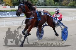 Dateiname=20251012_r08a_128_R05_0653.jpg
Dateigröße=295KB
Abmessungen: 1000x667
hinzugefügt am: 14. Oktober 2025 20251012_r08a_128_R05_0653.jpg