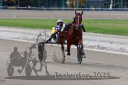 Dateiname=20251012_r08a_130_R05_0659.jpg
Dateigröße=238KB
Abmessungen: 1000x667
hinzugefügt am: 14. Oktober 2025 20251012_r08a_130_R05_0659.jpg