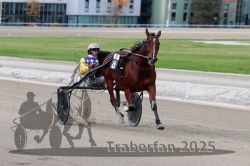 Dateiname=20251012_r08a_136_R05_0673.jpg
Dateigröße=251KB
Abmessungen: 1000x667
hinzugefügt am: 14. Oktober 2025 20251012_r08a_136_R05_0673.jpg