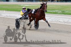 Dateiname=20251012_r08a_138_R05_0679.jpg
Dateigröße=281KB
Abmessungen: 1000x667
hinzugefügt am: 14. Oktober 2025 20251012_r08a_138_R05_0679.jpg