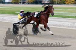 Dateiname=20251012_r08a_140_R05_0683.jpg
Dateigröße=259KB
Abmessungen: 1000x667
hinzugefügt am: 14. Oktober 2025 20251012_r08a_140_R05_0683.jpg