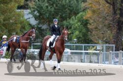 Dateiname=20251012_r08b_003_R08_0016.jpg
Dateigröße=279KB
Abmessungen: 1000x667
hinzugefügt am: 14. Oktober 2025 20251012_r08b_003_R08_0016.jpg