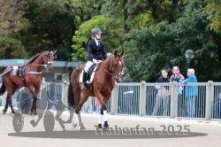 Dateiname=20251012_r08b_006_R08_0025.jpg
Dateigröße=300KB
Abmessungen: 1000x667
hinzugefügt am: 14. Oktober 2025 20251012_r08b_006_R08_0025.jpg