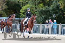 Dateiname=20251012_r08b_007_R08_0027.jpg
Dateigröße=302KB
Abmessungen: 1000x667
hinzugefügt am: 14. Oktober 2025 20251012_r08b_007_R08_0027.jpg