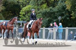 Dateiname=20251012_r08b_008_R08_0031.jpg
Dateigröße=305KB
Abmessungen: 1000x667
hinzugefügt am: 14. Oktober 2025 20251012_r08b_008_R08_0031.jpg