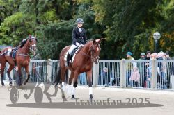 Dateiname=20251012_r08b_010_R08_0037.jpg
Dateigröße=319KB
Abmessungen: 1000x667
hinzugefügt am: 14. Oktober 2025 20251012_r08b_010_R08_0037.jpg