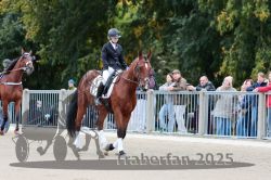 Dateiname=20251012_r08b_015_R08_0053.jpg
Dateigröße=316KB
Abmessungen: 1000x667
hinzugefügt am: 14. Oktober 2025 20251012_r08b_015_R08_0053.jpg