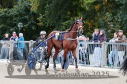 Dateiname=20251012_r08b_016_R08_0062.jpg
Dateigröße=322KB
Abmessungen: 1000x667
hinzugefügt am: 14. Oktober 2025 20251012_r08b_016_R08_0062.jpg