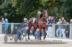 Dateiname=20251012_r08b_017_R08_0069.jpg
Dateigröße=321KB
Abmessungen: 1000x667
hinzugefügt am: 14. Oktober 2025 20251012_r08b_017_R08_0069.jpg