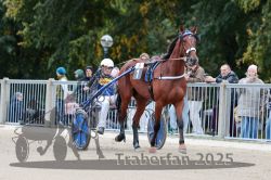 Dateiname=20251012_r08b_019_R08_0075.jpg
Dateigröße=320KB
Abmessungen: 1000x667
hinzugefügt am: 14. Oktober 2025 20251012_r08b_019_R08_0075.jpg