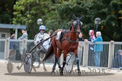 Dateiname=20251012_r08b_035_R08_0134.jpg
Dateigröße=287KB
Abmessungen: 1000x667
hinzugefügt am: 14. Oktober 2025 20251012_r08b_035_R08_0134.jpg