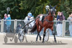 Dateiname=20251012_r08b_040_R08_0151.jpg
Dateigröße=305KB
Abmessungen: 1000x667
hinzugefügt am: 14. Oktober 2025 20251012_r08b_040_R08_0151.jpg