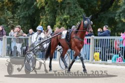 Dateiname=20251012_r08b_041_R08_0156.jpg
Dateigröße=319KB
Abmessungen: 1000x667
hinzugefügt am: 14. Oktober 2025 20251012_r08b_041_R08_0156.jpg