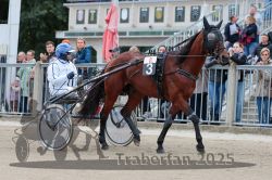 Dateiname=20251012_r08b_045_R08_0171.jpg
Dateigröße=323KB
Abmessungen: 1000x667
hinzugefügt am: 14. Oktober 2025 20251012_r08b_045_R08_0171.jpg