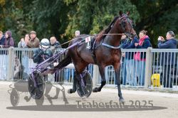 Dateiname=20251012_r08b_050_R08_0188.jpg
Dateigröße=321KB
Abmessungen: 1000x667
hinzugefügt am: 14. Oktober 2025 20251012_r08b_050_R08_0188.jpg