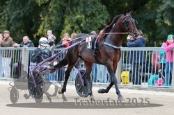 Dateiname=20251012_r08b_051_R08_0192.jpg
Dateigröße=324KB
Abmessungen: 1000x667
hinzugefügt am: 14. Oktober 2025 20251012_r08b_051_R08_0192.jpg