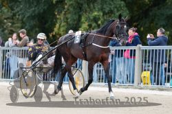 Dateiname=20251012_r08b_061_R08_0228.jpg
Dateigröße=313KB
Abmessungen: 1000x667
hinzugefügt am: 14. Oktober 2025 20251012_r08b_061_R08_0228.jpg