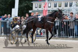 Dateiname=20251012_r08b_063_R08_0237.jpg
Dateigröße=313KB
Abmessungen: 1000x667
hinzugefügt am: 14. Oktober 2025 20251012_r08b_063_R08_0237.jpg