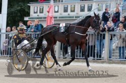 Dateiname=20251012_r08b_064_R08_0240.jpg
Dateigröße=328KB
Abmessungen: 1000x667
hinzugefügt am: 14. Oktober 2025 20251012_r08b_064_R08_0240.jpg