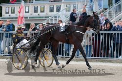 Dateiname=20251012_r08b_065_R08_0244.jpg
Dateigröße=336KB
Abmessungen: 1000x667
hinzugefügt am: 14. Oktober 2025 20251012_r08b_065_R08_0244.jpg