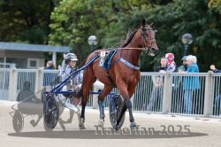 Dateiname=20251012_r08b_066_R08_0250.jpg
Dateigröße=295KB
Abmessungen: 1000x667
hinzugefügt am: 14. Oktober 2025 20251012_r08b_066_R08_0250.jpg