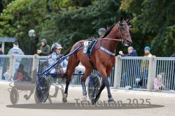 Dateiname=20251012_r08b_068_R08_0258.jpg
Dateigröße=292KB
Abmessungen: 1000x667
hinzugefügt am: 14. Oktober 2025 20251012_r08b_068_R08_0258.jpg