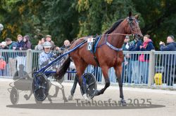 Dateiname=20251012_r08b_069_R08_0262.jpg
Dateigröße=325KB
Abmessungen: 1000x667
hinzugefügt am: 14. Oktober 2025 20251012_r08b_069_R08_0262.jpg