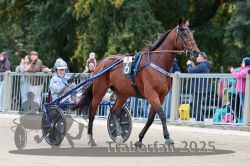 Dateiname=20251012_r08b_070_R08_0265.jpg
Dateigröße=318KB
Abmessungen: 1000x667
hinzugefügt am: 14. Oktober 2025 20251012_r08b_070_R08_0265.jpg