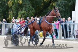 Dateiname=20251012_r08b_071_R08_0269.jpg
Dateigröße=325KB
Abmessungen: 1000x667
hinzugefügt am: 14. Oktober 2025 20251012_r08b_071_R08_0269.jpg