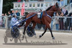 Dateiname=20251012_r08b_072_R08_0274.jpg
Dateigröße=334KB
Abmessungen: 1000x667
hinzugefügt am: 14. Oktober 2025 20251012_r08b_072_R08_0274.jpg