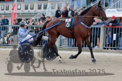 Dateiname=20251012_r08b_073_R08_0278.jpg
Dateigröße=332KB
Abmessungen: 1000x667
hinzugefügt am: 14. Oktober 2025 20251012_r08b_073_R08_0278.jpg