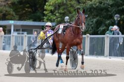 Dateiname=20251012_r08b_075_R08_0287.jpg
Dateigröße=274KB
Abmessungen: 1000x667
hinzugefügt am: 14. Oktober 2025 20251012_r08b_075_R08_0287.jpg