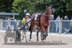 Dateiname=20251012_r08b_077_R08_0294.jpg
Dateigröße=283KB
Abmessungen: 1000x667
hinzugefügt am: 14. Oktober 2025 20251012_r08b_077_R08_0294.jpg