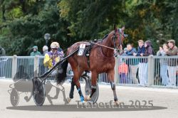 Dateiname=20251012_r08b_078_R08_0296.jpg
Dateigröße=300KB
Abmessungen: 1000x667
hinzugefügt am: 14. Oktober 2025 20251012_r08b_078_R08_0296.jpg