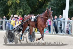 Dateiname=20251012_r08b_081_R08_0308.jpg
Dateigröße=316KB
Abmessungen: 1000x667
hinzugefügt am: 14. Oktober 2025 20251012_r08b_081_R08_0308.jpg