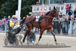 Dateiname=20251012_r08b_084_R08_0320.jpg
Dateigröße=323KB
Abmessungen: 1000x667
hinzugefügt am: 14. Oktober 2025 20251012_r08b_084_R08_0320.jpg