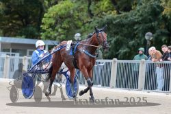 Dateiname=20251012_r08b_087_R08_0332.jpg
Dateigröße=295KB
Abmessungen: 1000x667
hinzugefügt am: 14. Oktober 2025 20251012_r08b_087_R08_0332.jpg