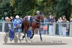 Dateiname=20251012_r08b_088_R08_0335.jpg
Dateigröße=320KB
Abmessungen: 1000x667
hinzugefügt am: 14. Oktober 2025 20251012_r08b_088_R08_0335.jpg