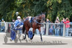 Dateiname=20251012_r08b_091_R08_0344.jpg
Dateigröße=332KB
Abmessungen: 1000x667
hinzugefügt am: 14. Oktober 2025 20251012_r08b_091_R08_0344.jpg