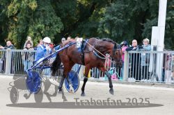 Dateiname=20251012_r08b_092_R08_0349.jpg
Dateigröße=325KB
Abmessungen: 1000x667
hinzugefügt am: 14. Oktober 2025 20251012_r08b_092_R08_0349.jpg