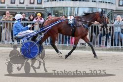 Dateiname=20251012_r08b_096_R08_0367.jpg
Dateigröße=329KB
Abmessungen: 1000x667
hinzugefügt am: 14. Oktober 2025 20251012_r08b_096_R08_0367.jpg