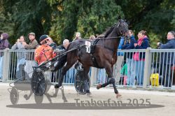 Dateiname=20251012_r08b_102_R08_0393.jpg
Dateigröße=311KB
Abmessungen: 1000x667
hinzugefügt am: 14. Oktober 2025 20251012_r08b_102_R08_0393.jpg