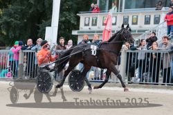 Dateiname=20251012_r08b_103_R08_0396.jpg
Dateigröße=311KB
Abmessungen: 1000x667
hinzugefügt am: 14. Oktober 2025 20251012_r08b_103_R08_0396.jpg