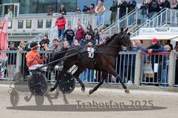 Dateiname=20251012_r08b_105_R08_0404.jpg
Dateigröße=342KB
Abmessungen: 1000x667
hinzugefügt am: 14. Oktober 2025 20251012_r08b_105_R08_0404.jpg