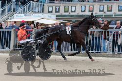 Dateiname=20251012_r08b_106_R08_0408.jpg
Dateigröße=316KB
Abmessungen: 1000x667
hinzugefügt am: 14. Oktober 2025 20251012_r08b_106_R08_0408.jpg