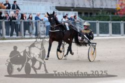 Dateiname=20251012_r08c_002_R08_0431.jpg
Dateigröße=269KB
Abmessungen: 1000x667
hinzugefügt am: 14. Oktober 2025 20251012_r08c_002_R08_0431.jpg