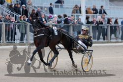 Dateiname=20251012_r08c_005_R08_0441.jpg
Dateigröße=281KB
Abmessungen: 1000x667
hinzugefügt am: 14. Oktober 2025 20251012_r08c_005_R08_0441.jpg