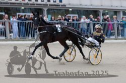 Dateiname=20251012_r08c_007_R08_0446.jpg
Dateigröße=268KB
Abmessungen: 1000x667
hinzugefügt am: 14. Oktober 2025 20251012_r08c_007_R08_0446.jpg